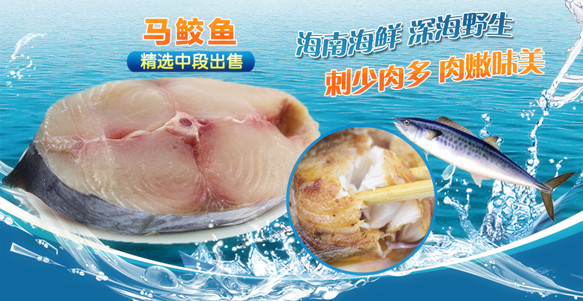 深海野生鮮活海魚馬鮫魚