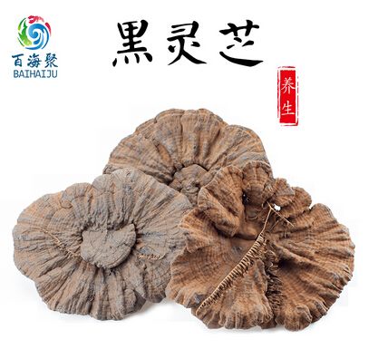 靈芝孢子粉 野生整枝紫林芝黑靈芝
