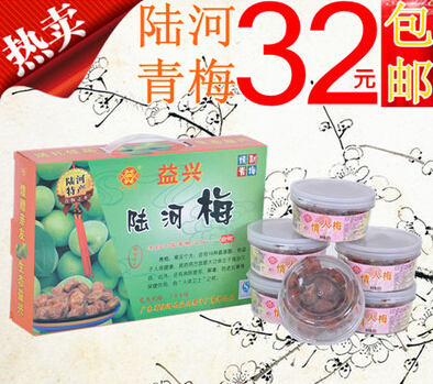 陸河特產(chǎn) 陸河青梅生態(tài)食品益興陸河梅 情人梅黃梅單口味裝135克