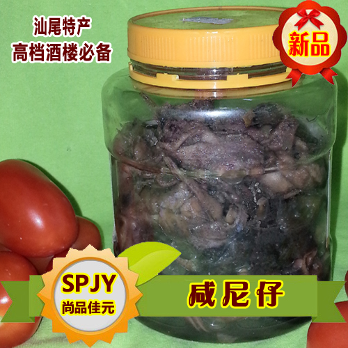 汕尾特產(chǎn)海味即食魚咸魷魚仔