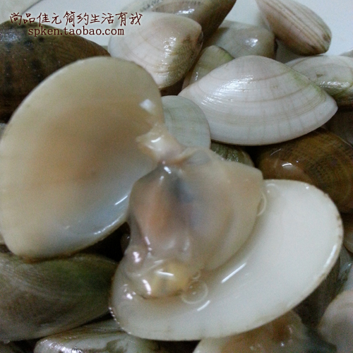 咸香白貝
