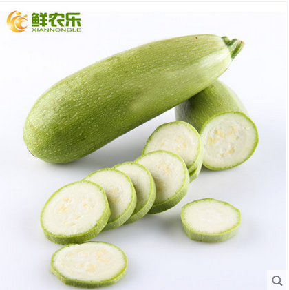 西葫蘆 農(nóng)產(chǎn)品自產(chǎn)蔬菜