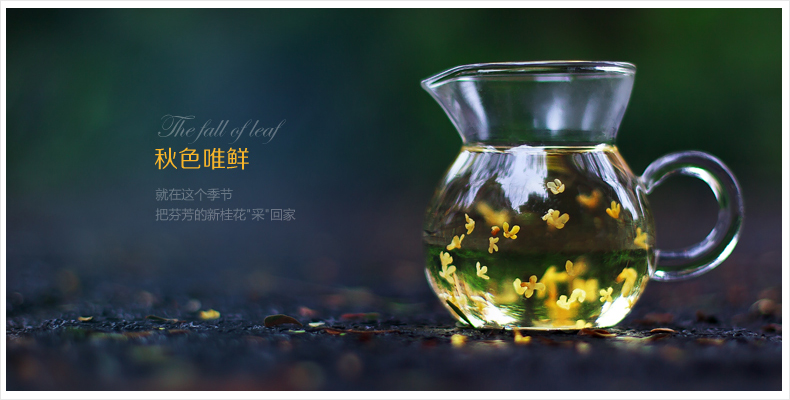 藝福堂桂花 干花 桂花茶 桂花香