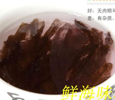 汕尾土特產(chǎn)純天然野生紫菜海苔海飄