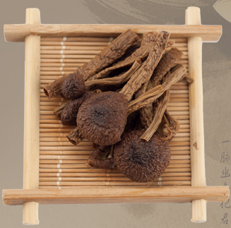 農(nóng)家特產(chǎn) 茶樹菇 干貨