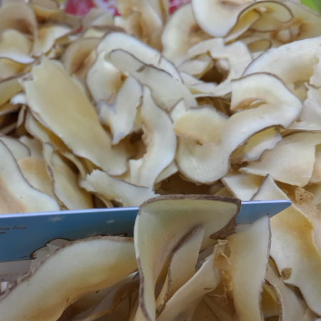 廣東汕尾特產(chǎn)原色生曬海底椰片奶香味濃清熱清香進口泰國特級生曬