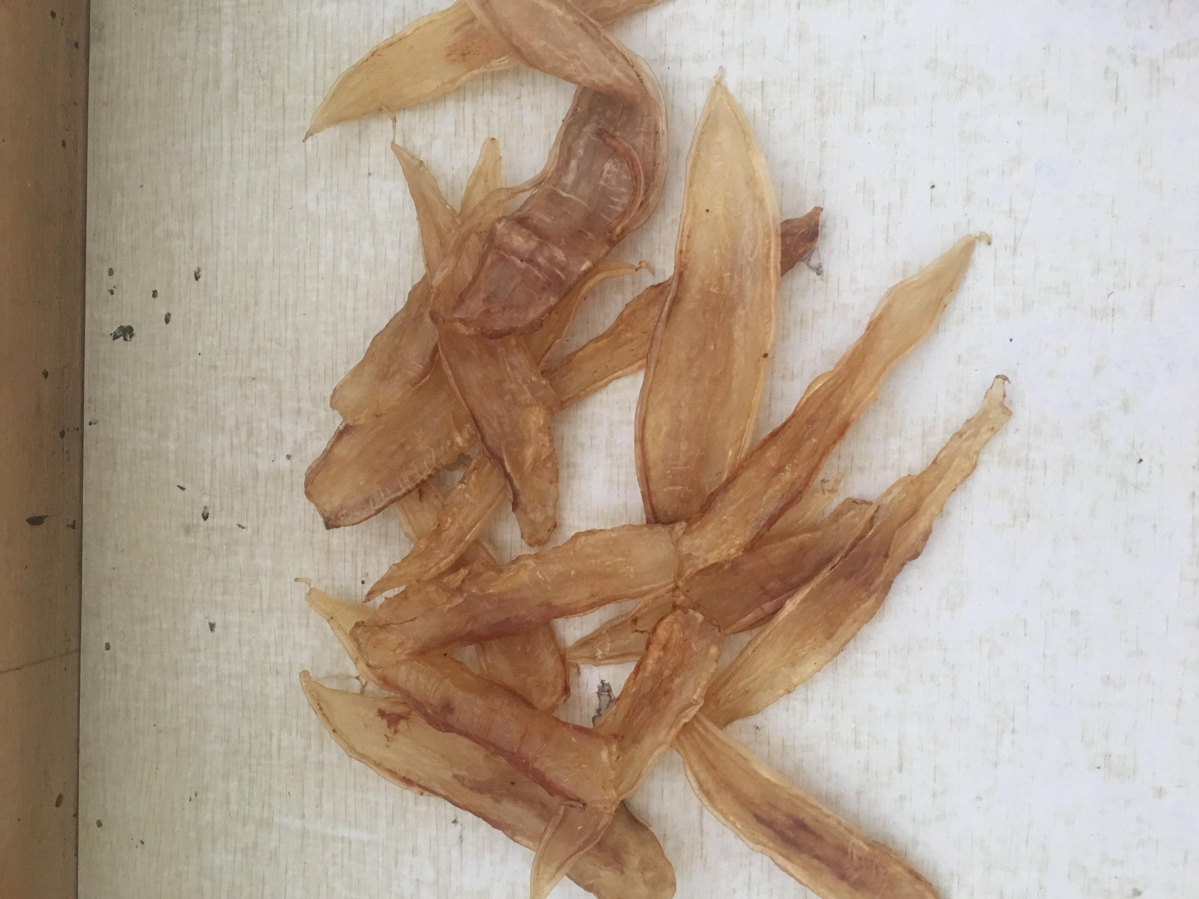 汕尾本港特產(chǎn)漁民自曬野生黃花魚膠花膠魚鰾孕婦月子寶寶滋補(bǔ)上品