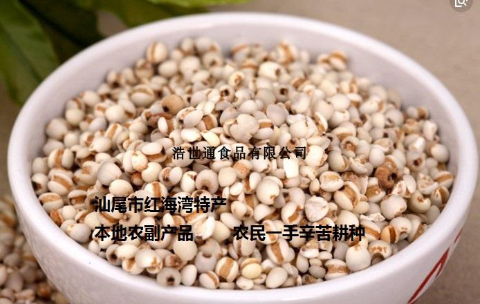 汕尾特產(chǎn)-薏米 薏米骨頭湯用料 海豐最愛 洗選精選薏米 精細(xì)