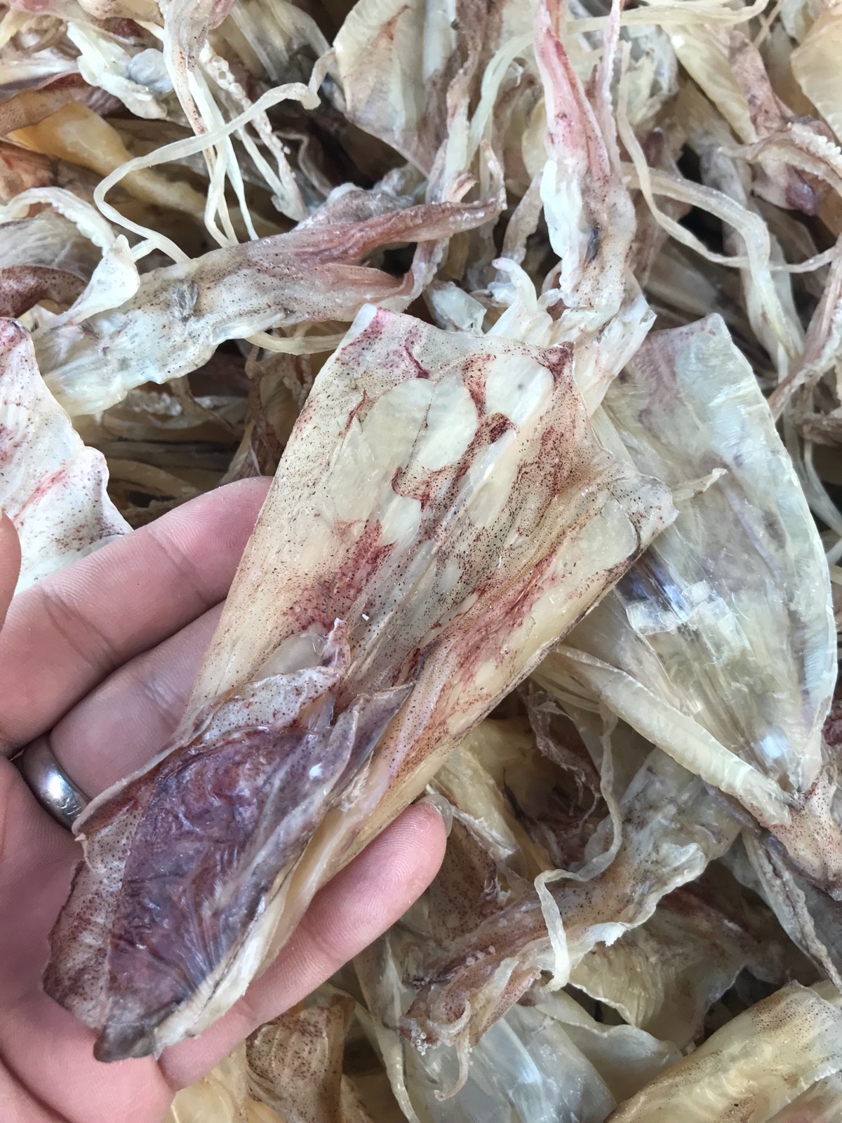 汕尾馬宮海味 本港船曬野生魷魚干 16-19個/斤無鹽淡曬非加工500g
