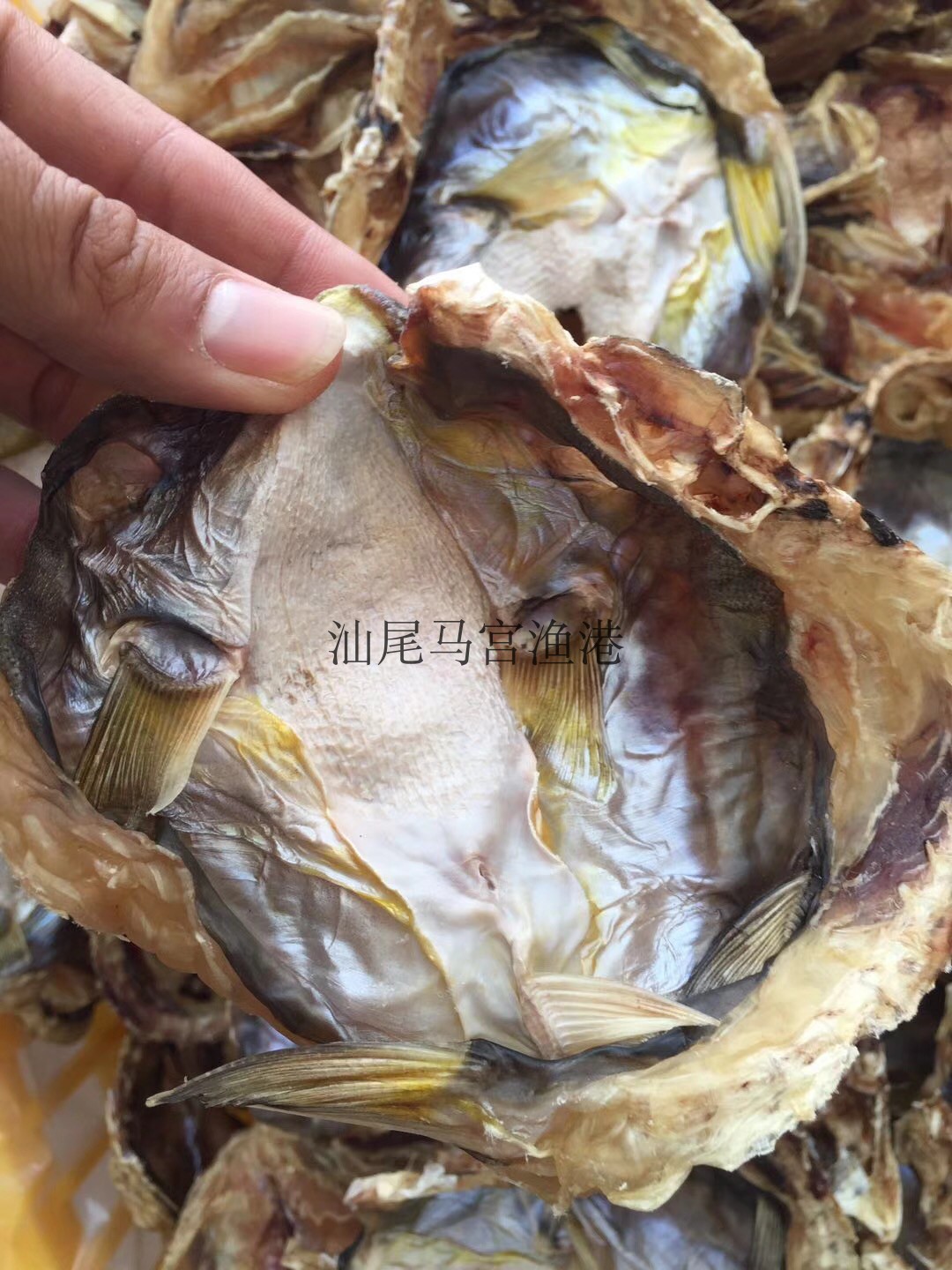 汕尾馬宮特產(chǎn)潮汕人 乖脯河豚干 魚干 乖補 面魚