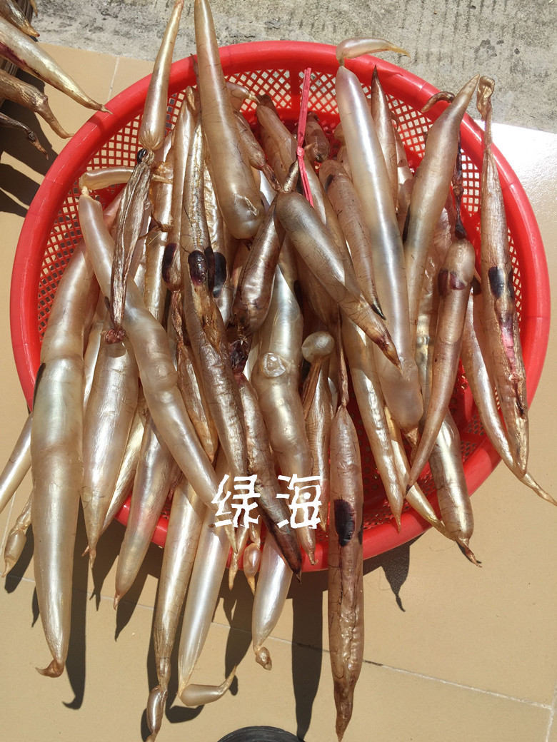 魚膠花膠鰻魚膠汕尾本港麻魚鰾自曬海產(chǎn)干貨滋補(bǔ)養(yǎng)胃養(yǎng)顏250克