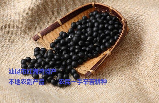汕尾特產(chǎn)-本地土特產(chǎn) 黑豆 自種 海豐黑豆 黑豆