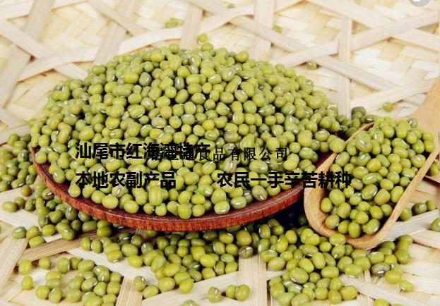 汕尾特產(chǎn)-綠豆 農(nóng)民自種 本地綠豆 海豐綠豆 紅海灣綠豆