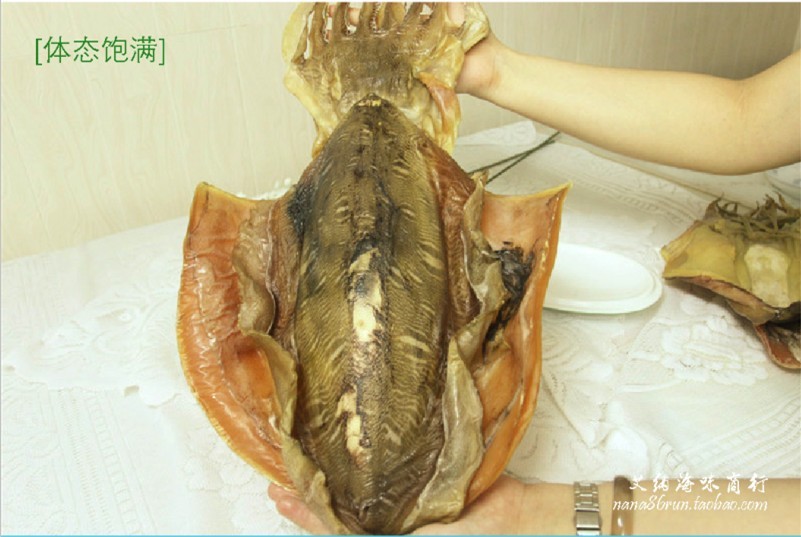 八爪魚 干墨魚脯 烏賊 煲湯燉菜 汕尾特產(chǎn) 豬腳墨脯雞 約1斤/個