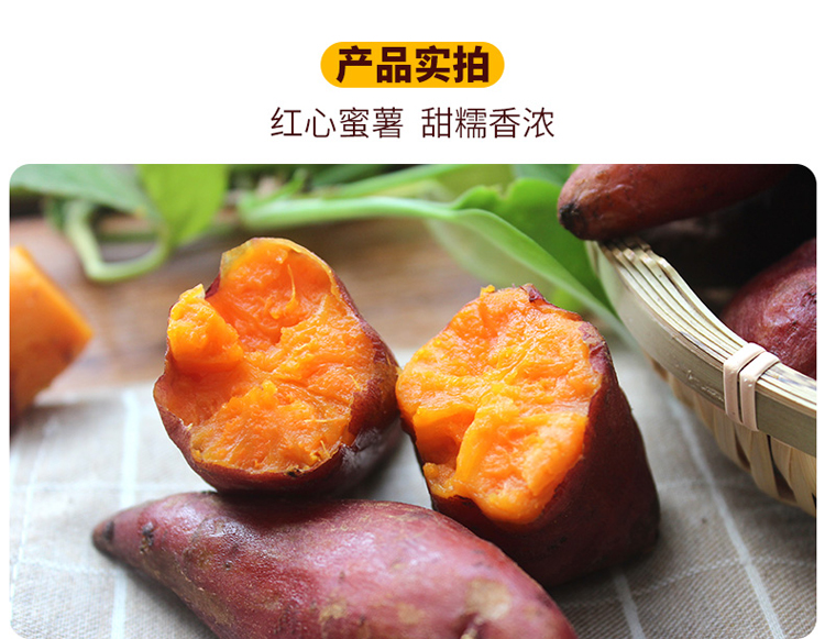 汕尾陸河土特產客家人客家番薯 新鮮地瓜10斤包郵小紅薯香甜蕃薯
