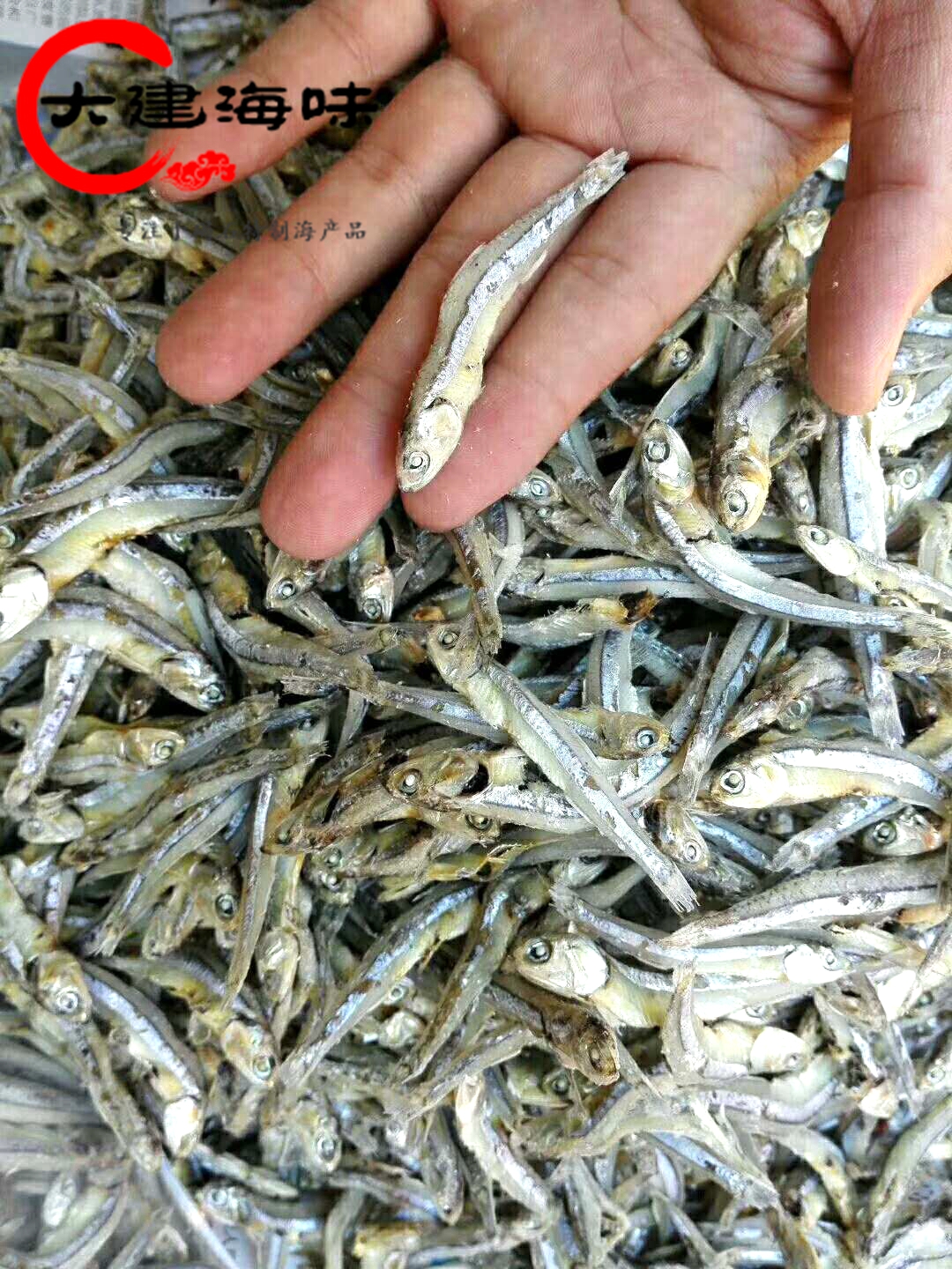 廣東潮汕尾碣石特產小海魚堯魚仔250g銀魚干海鮮干貨水產海味咸魚