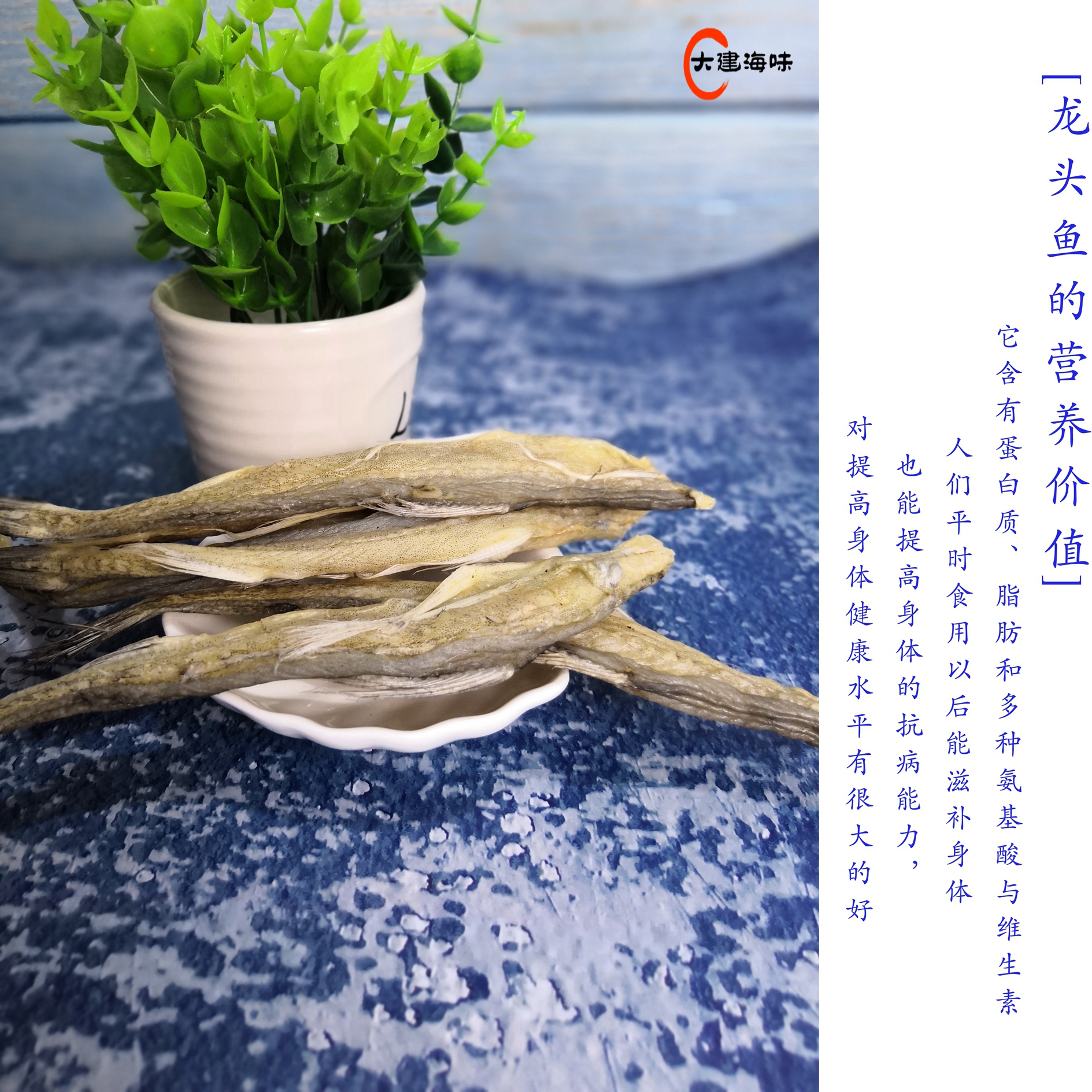 潮汕特產野生龍頭魚干漁家自曬九肚魚豆腐魚海鮮干貨咸魚干龍頭烤