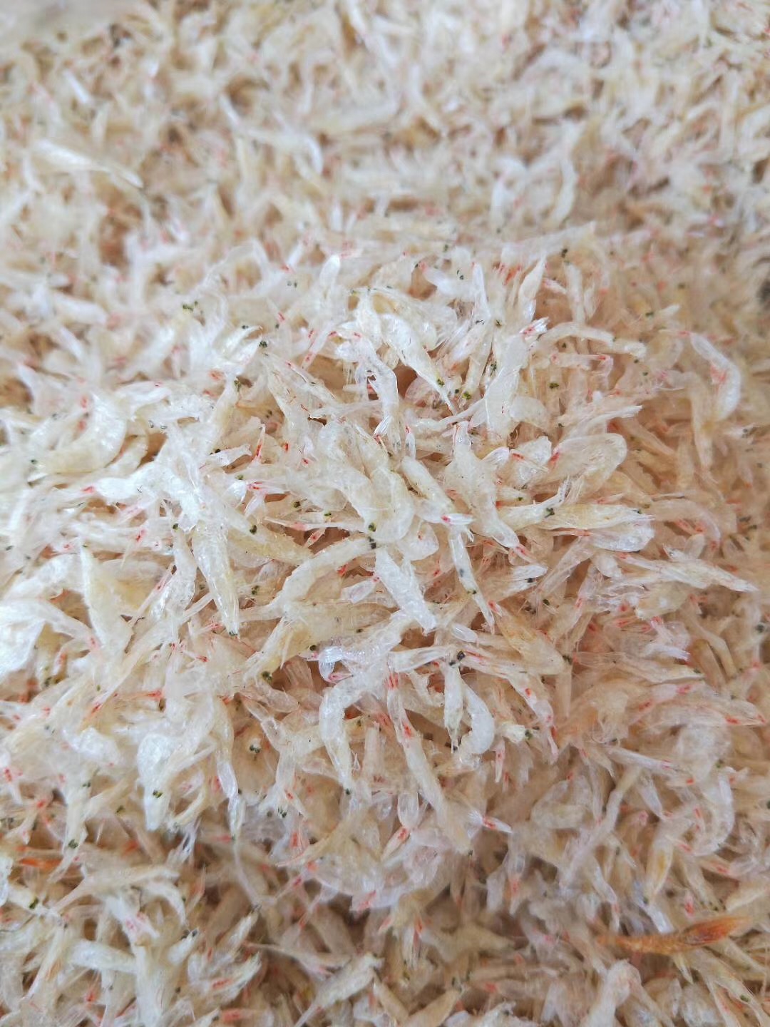 汕尾蝦苗蝦皮500g廣東潮汕特產(chǎn)地方特色干貨蝦皮粉補鈣野生無添加