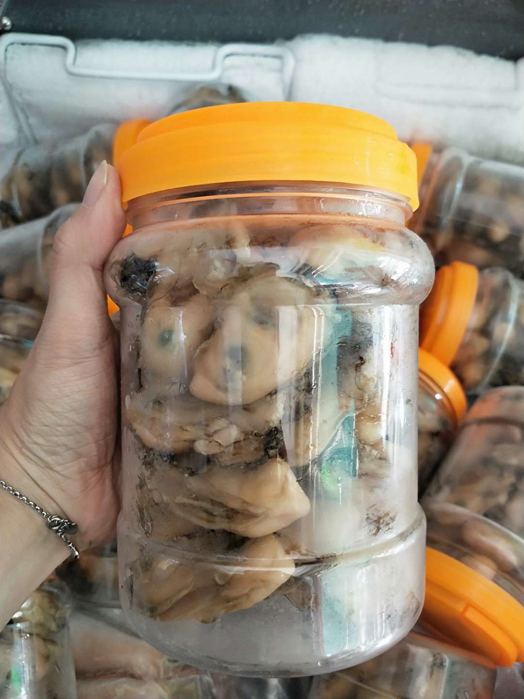 汕尾生蠔干牡蠣干海蠣干500g廣東潮汕特產(chǎn)地方特色年貨天然無添加