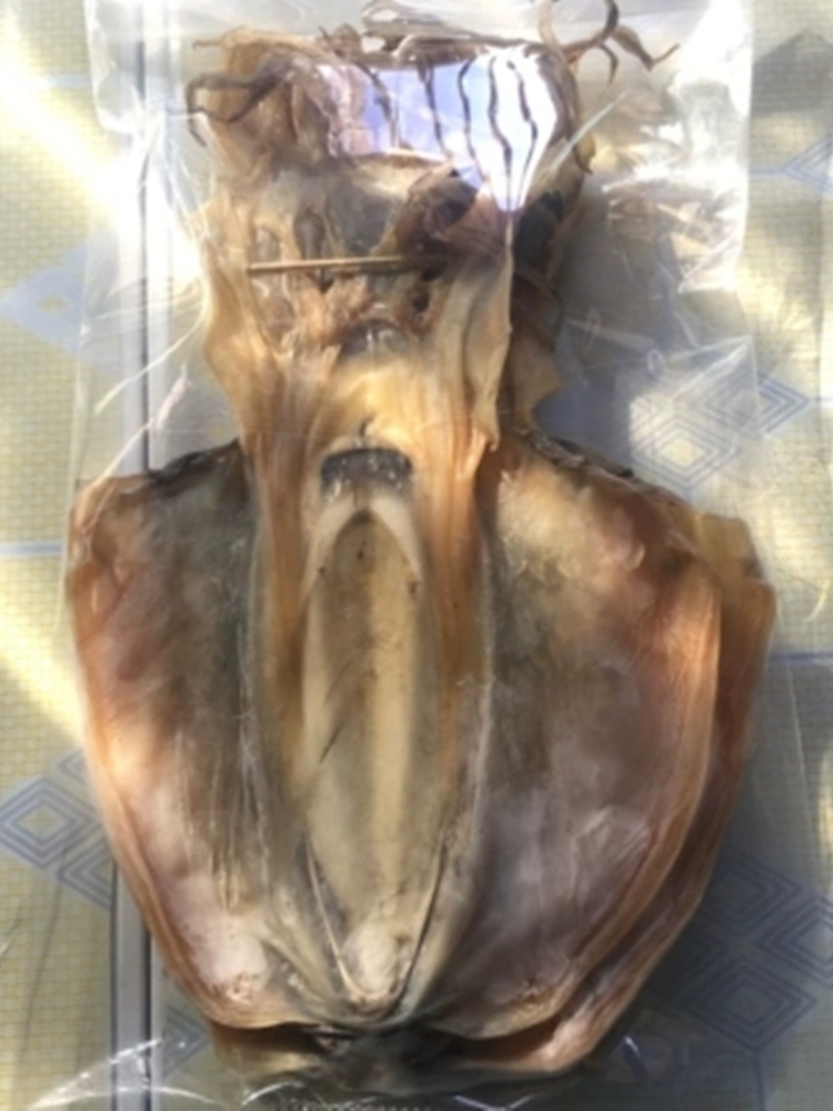 汕尾墨魚干500g 廣東潮汕特產(chǎn)地方特色年貨漁家自曬海鮮本港干貨