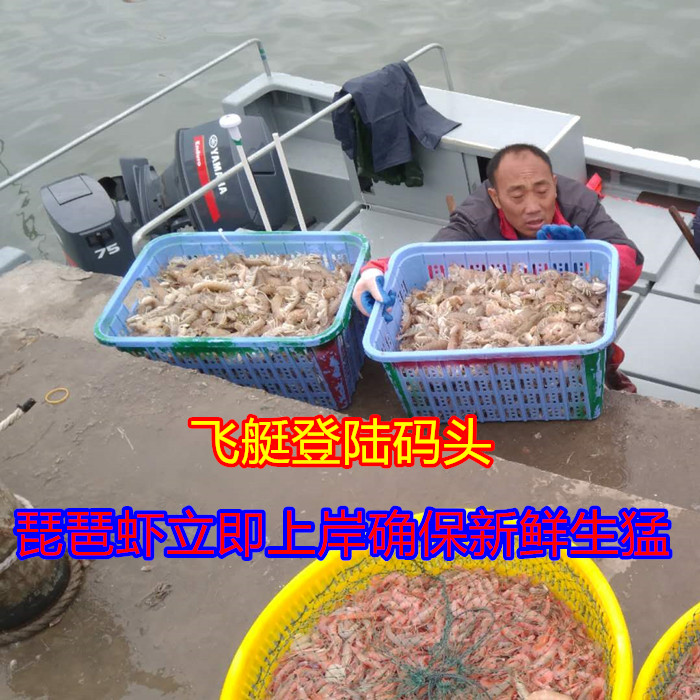 直播汕尾馬宮海鮮特產(chǎn)野生皮皮蝦富貴蝦瀨尿蝦爬蝦蛄1份1斤500克