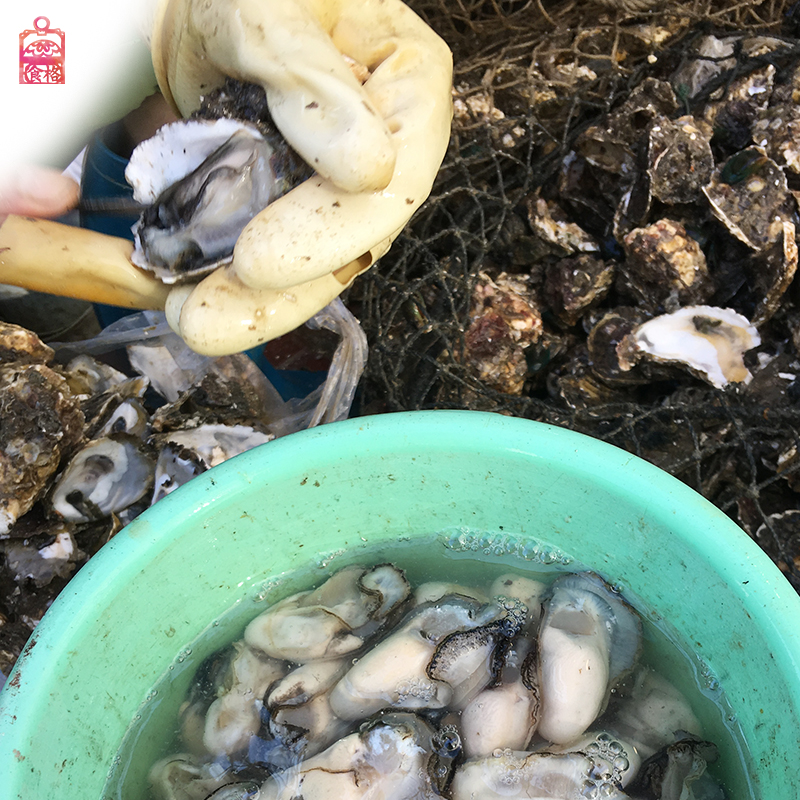 汕頭特產(chǎn)潮州特產(chǎn) 生腌海鮮牡蠣 即食 每天新鮮制作 生蠔250g