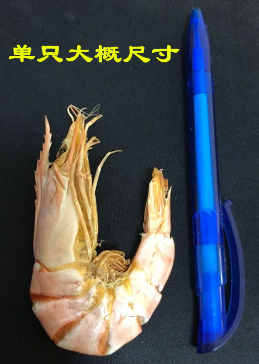 汕尾本港深海特產(chǎn)九節(jié)蝦無添加即食蝦干對蝦海鮮海味干貨500g包郵