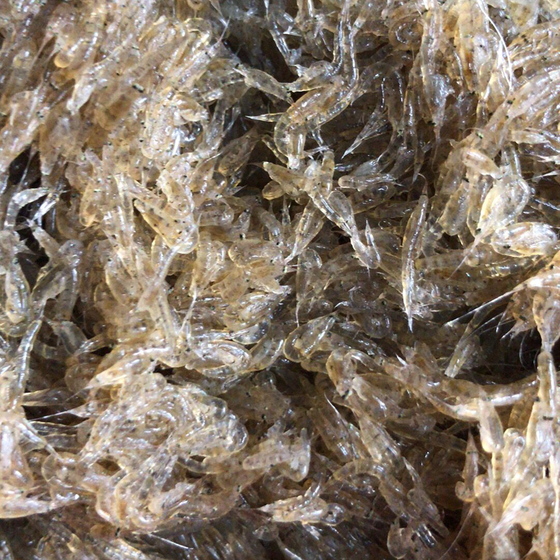 野生小蝦 蝦春 小白蝦 250g
