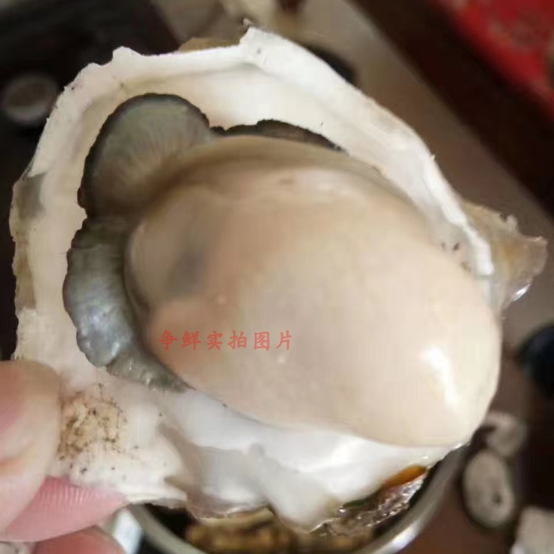 牡蠣肉現(xiàn)剝生蠔肉野生新鮮海鮮當天鮮活生蠔潮州海蠣子 一份250g