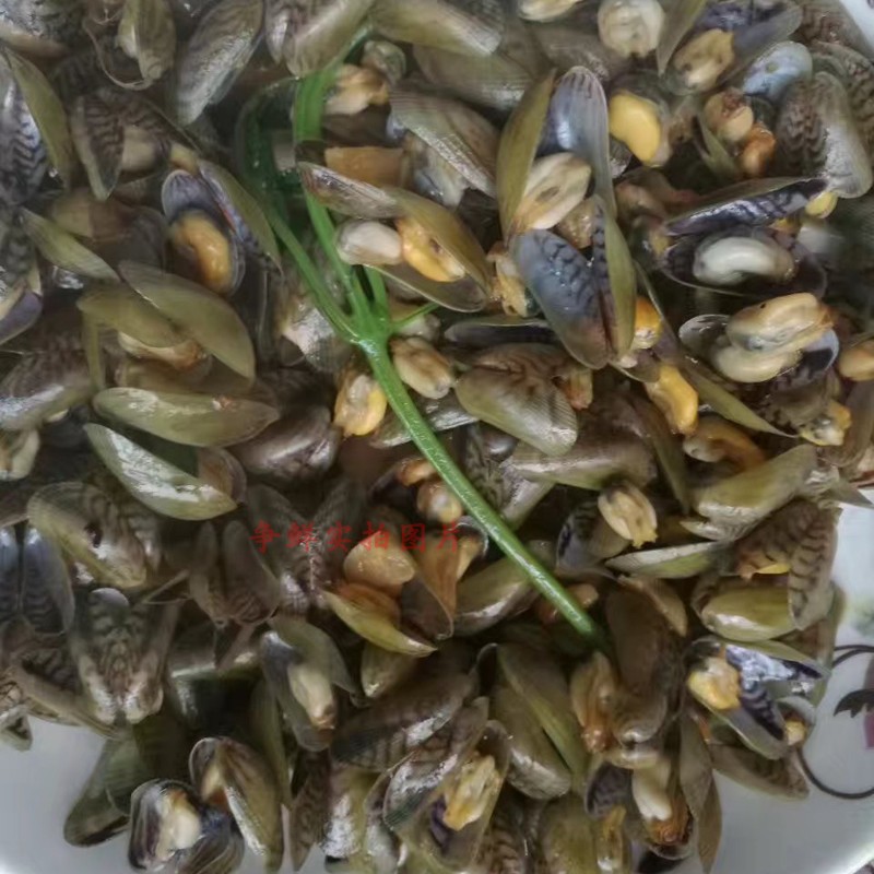 潮汕特產(chǎn)鮮活薄殼米250g 海鮮海瓜子鮮甜海產(chǎn)貝類 送金不換
