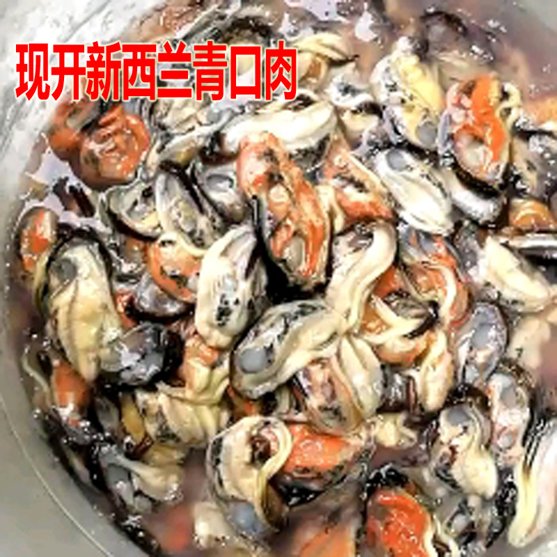 當(dāng)天海捕新西蘭青口貝 海虹 新鮮野生淡菜貽貝 青口肉藍口肉 250G