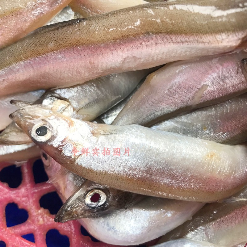 滿籽多春魚新鮮多春魚帶籽海鮮燒烤食材 500g 海鮮水產(chǎn)深海魚冷凍