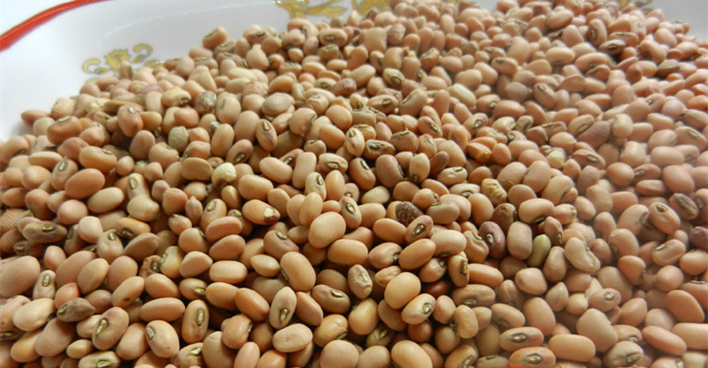 新農(nóng)家燕麥米 燕麥片 燕麥粒 野麥雀麥 五谷雜糧 500g